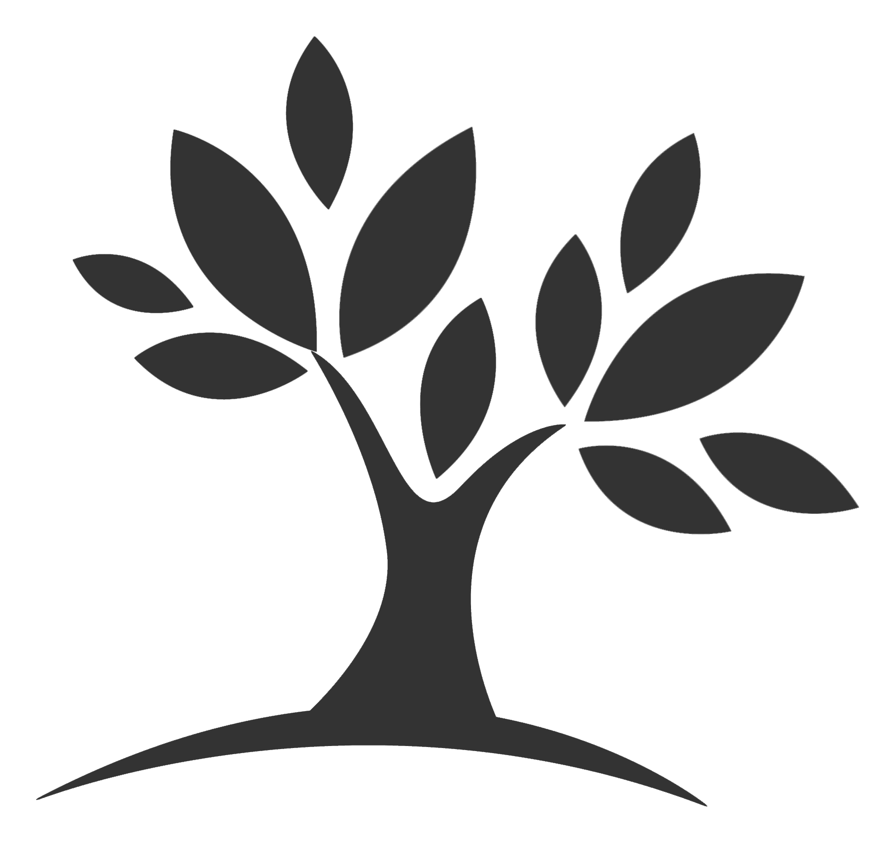 Vis Holiday House Logo